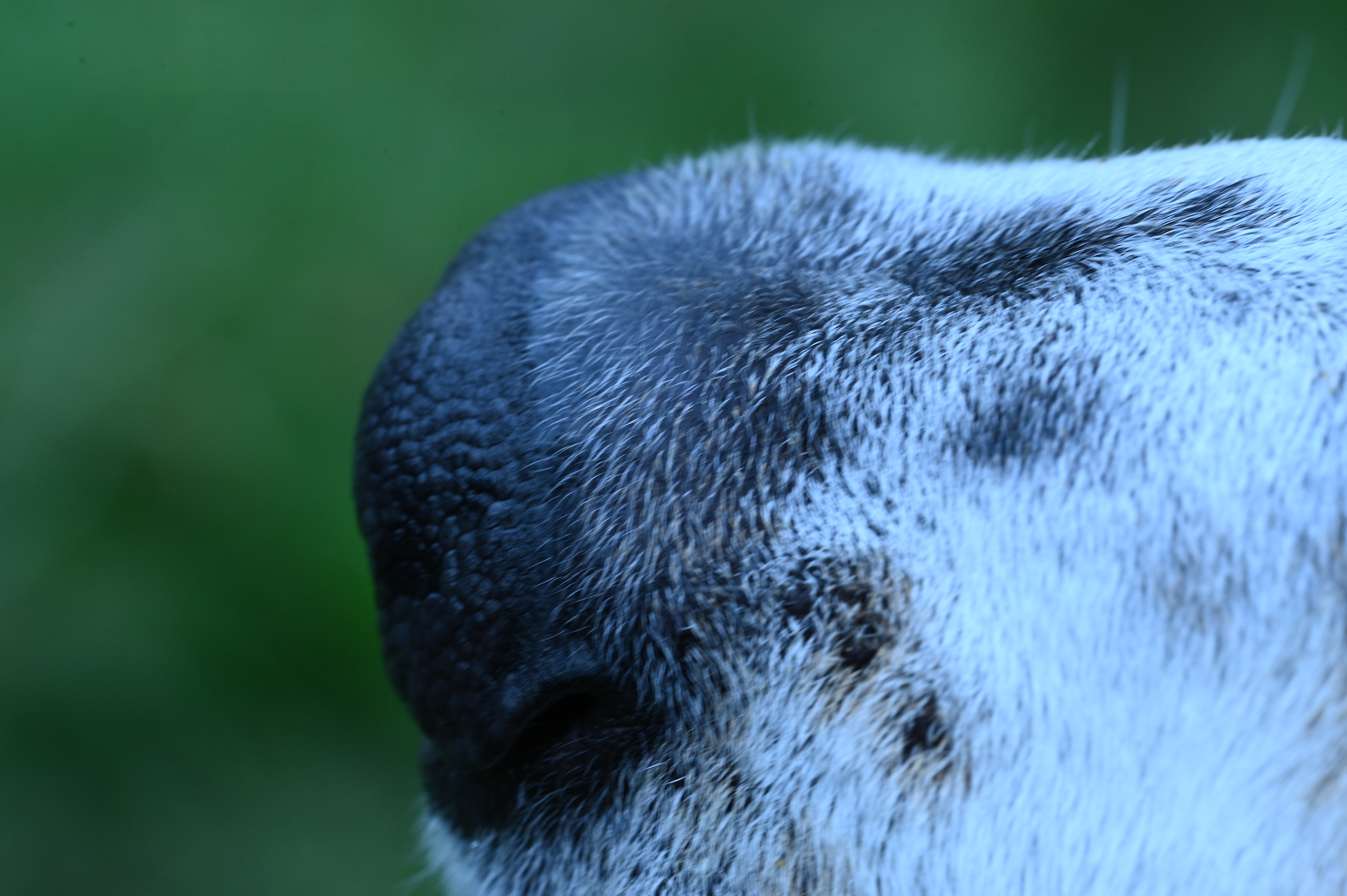 2025/07/09-14 - trip/DSC_0072.JPG